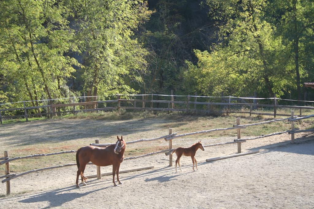 קאירו מונטנוטה Agriturismo Cascina Del Vai מראה חיצוני תמונה