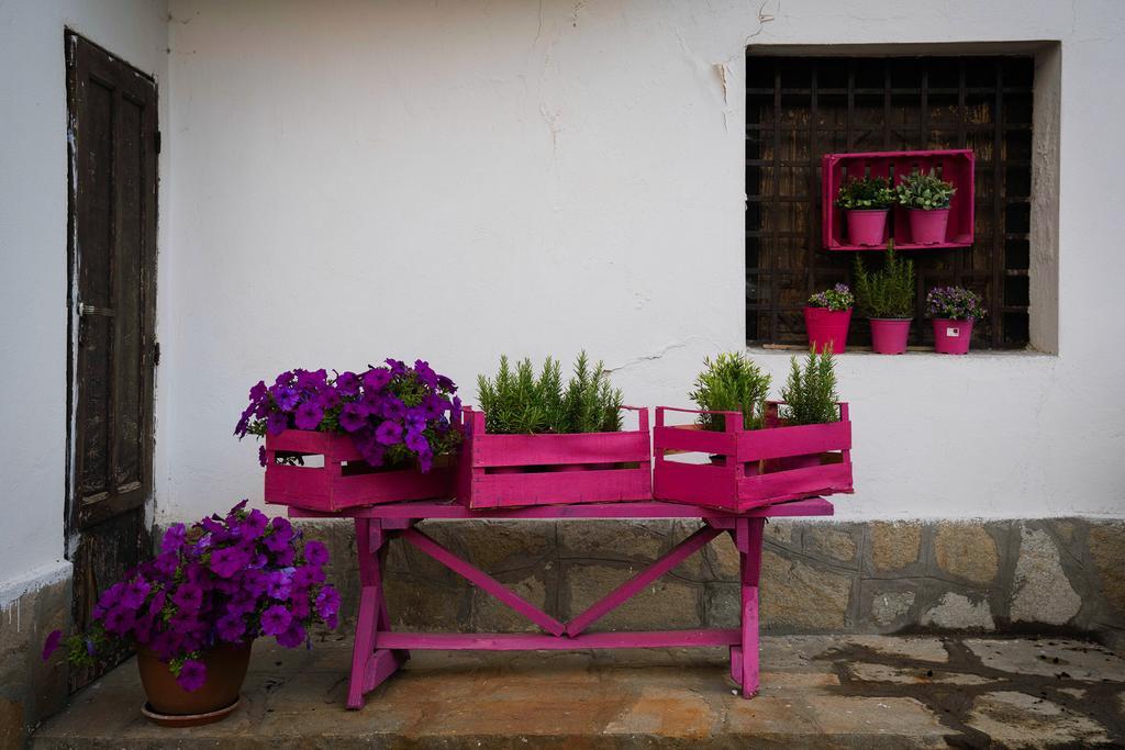 קאירו מונטנוטה Agriturismo Cascina Del Vai מראה חיצוני תמונה